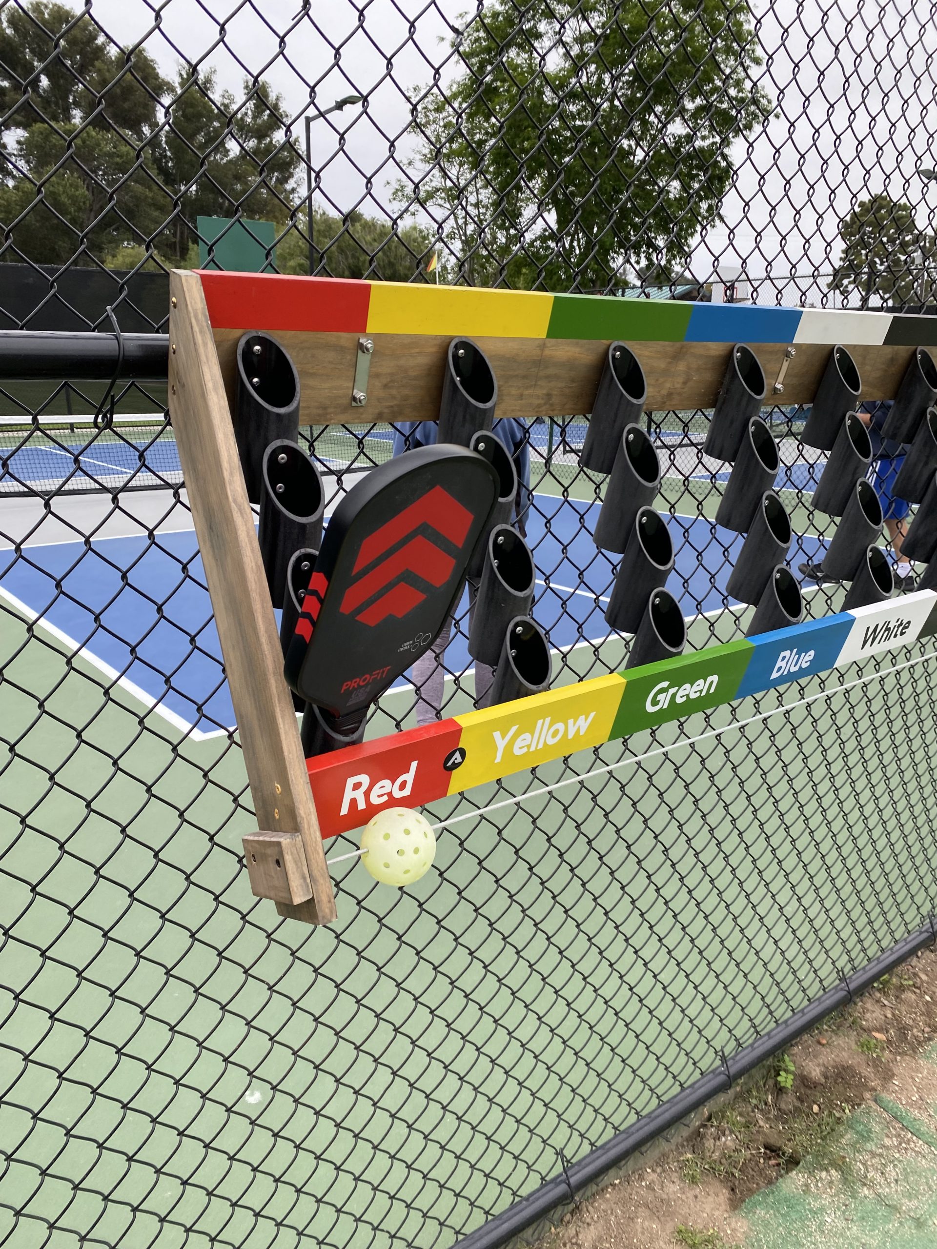 Carbon Control + Pickleball Paddle
