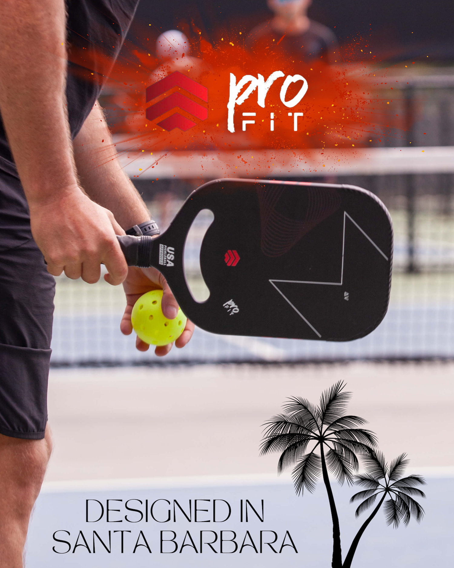 Where to demo pickleball paddles in Santa Barbara /Goleta
